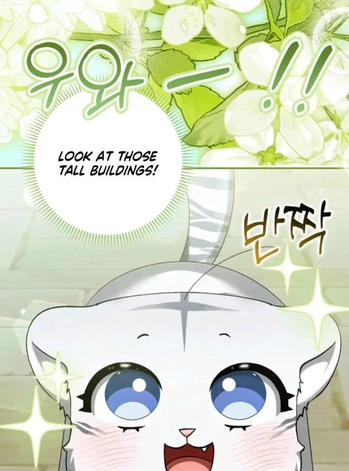 The White Tiger Princess is Not in Danger Chapter 17 – Page 42