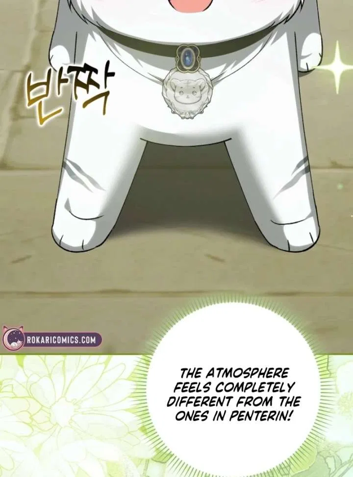 The White Tiger Princess is Not in Danger Chapter 17 – Page 43