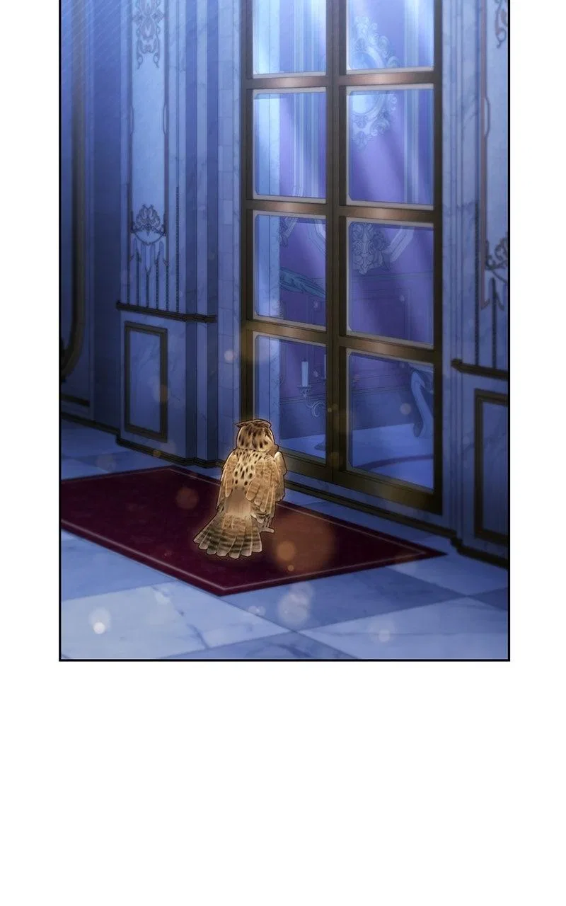 I Was The Acting Empress But I Spent The First Night With Him Chapter 63 – Page 37