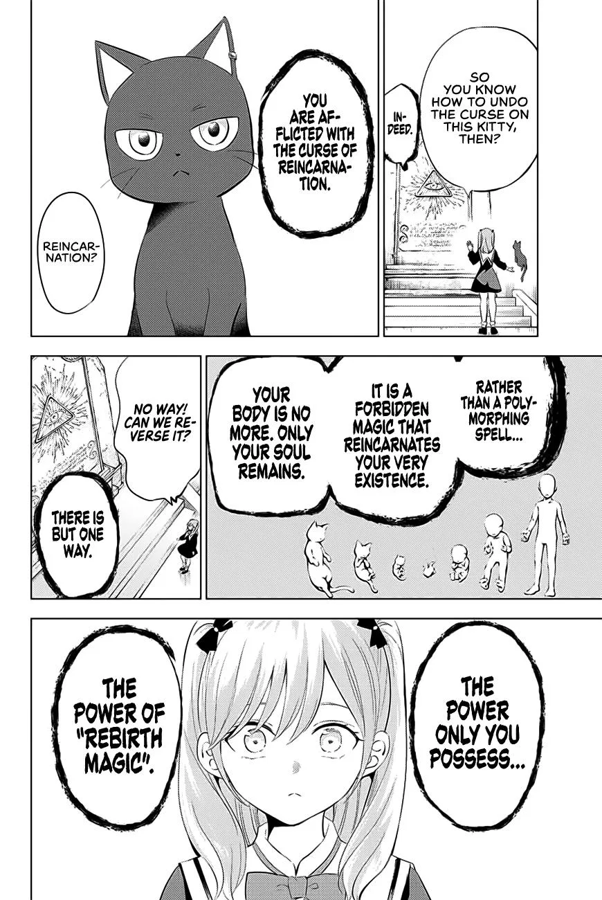 Anime – The Classroom of a Black Cat and a Witch Chapter 1 – Page 43