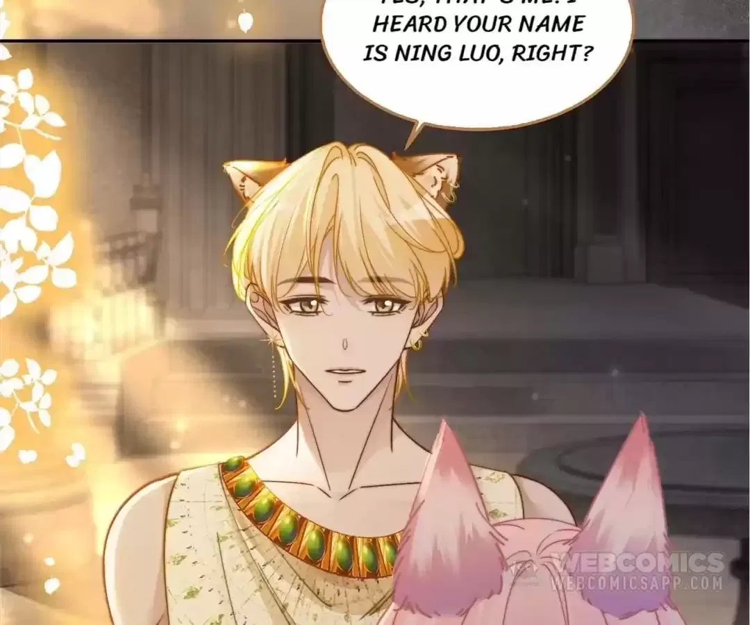 Calm Down, Revenge Queen Chapter 168 – Page 76
