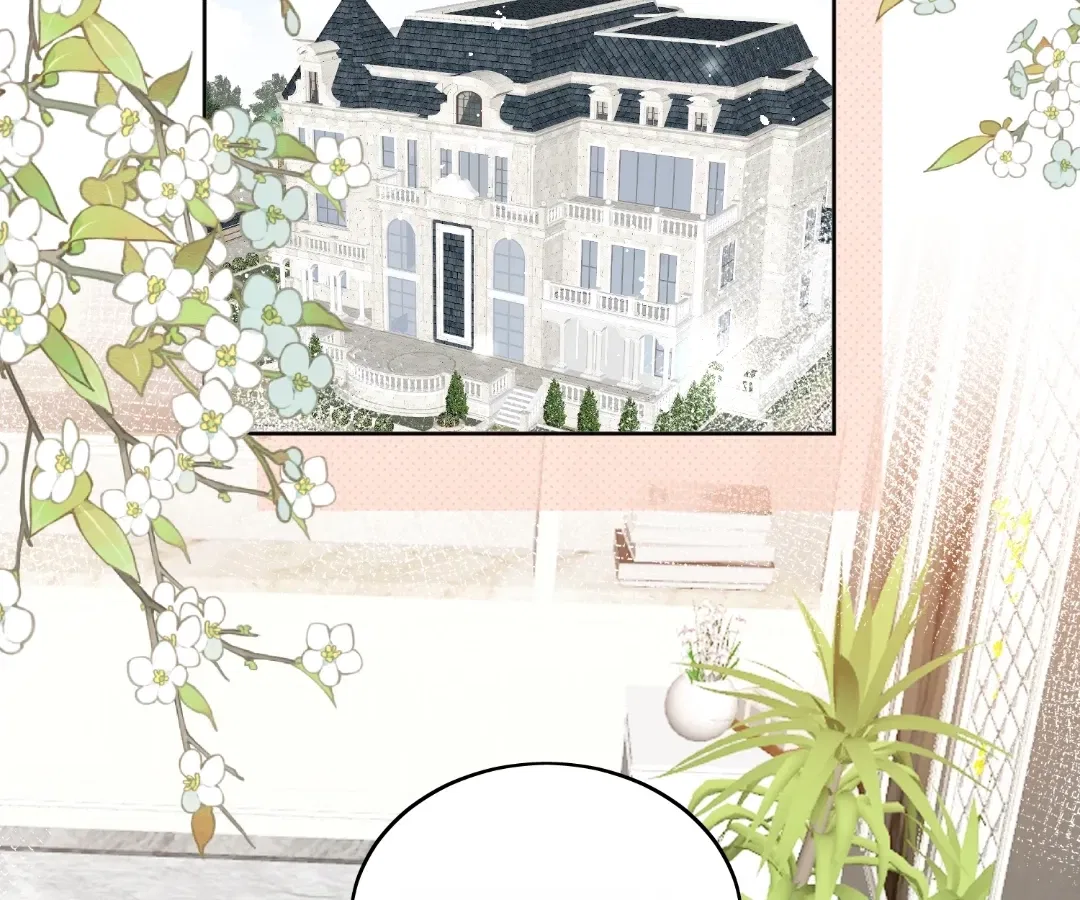Love in Balance: Sacrifice for Revenge Chapter 85 – Page 2