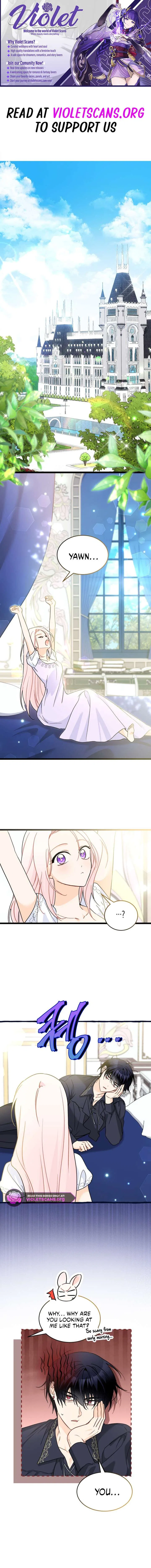 Little Rabbit and the Big Bad Leopard Chapter 200 – Page 1