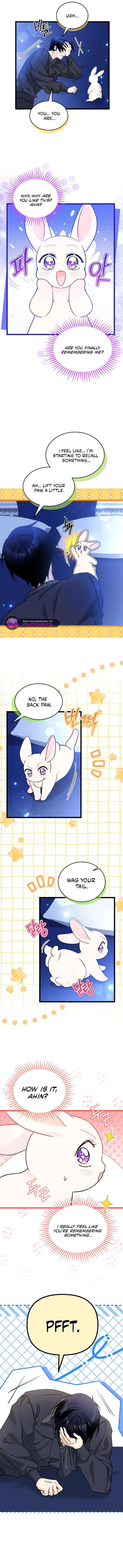 Little Rabbit and the Big Bad Leopard Chapter 199 – Page 8