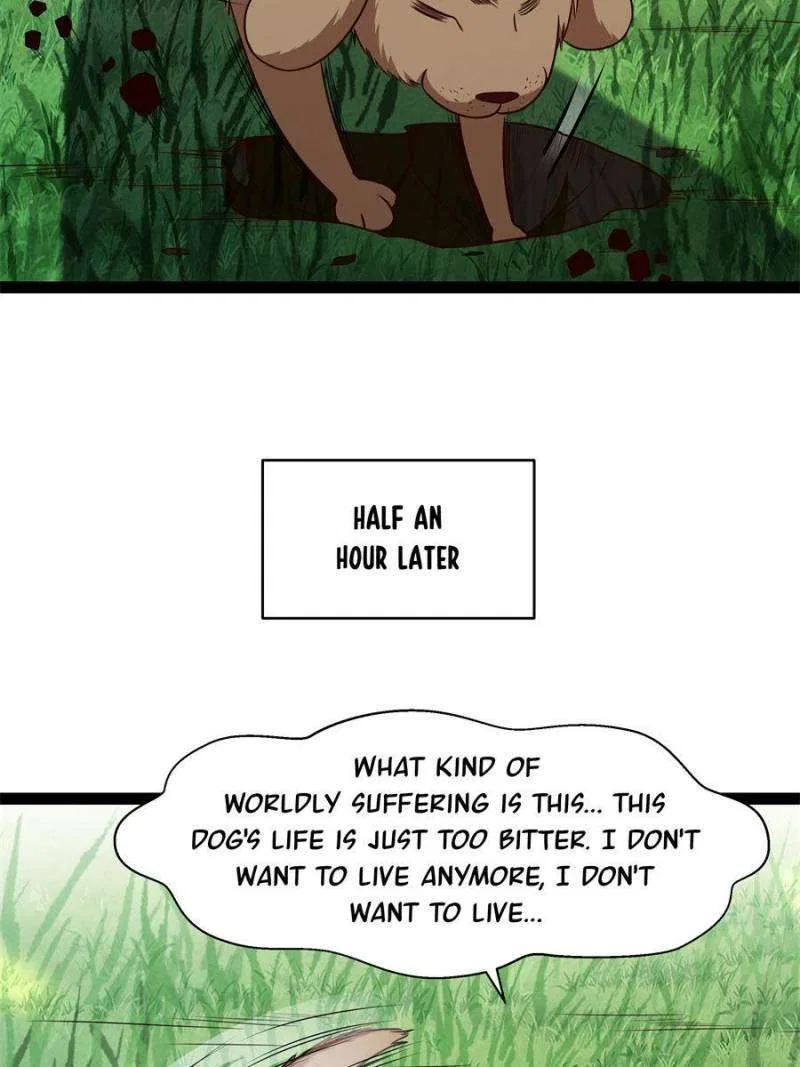 Rebirth: City Deity Chapter 298 – Page 4