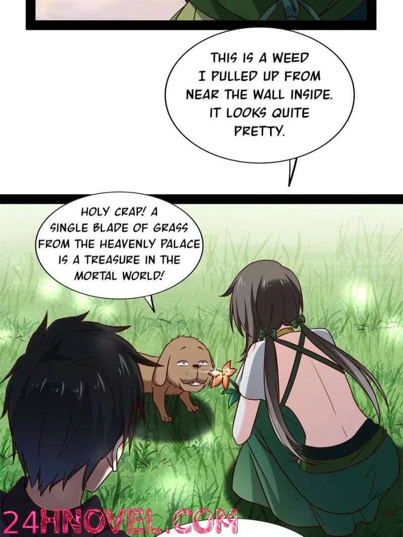 Rebirth: City Deity Chapter 297 – Page 26