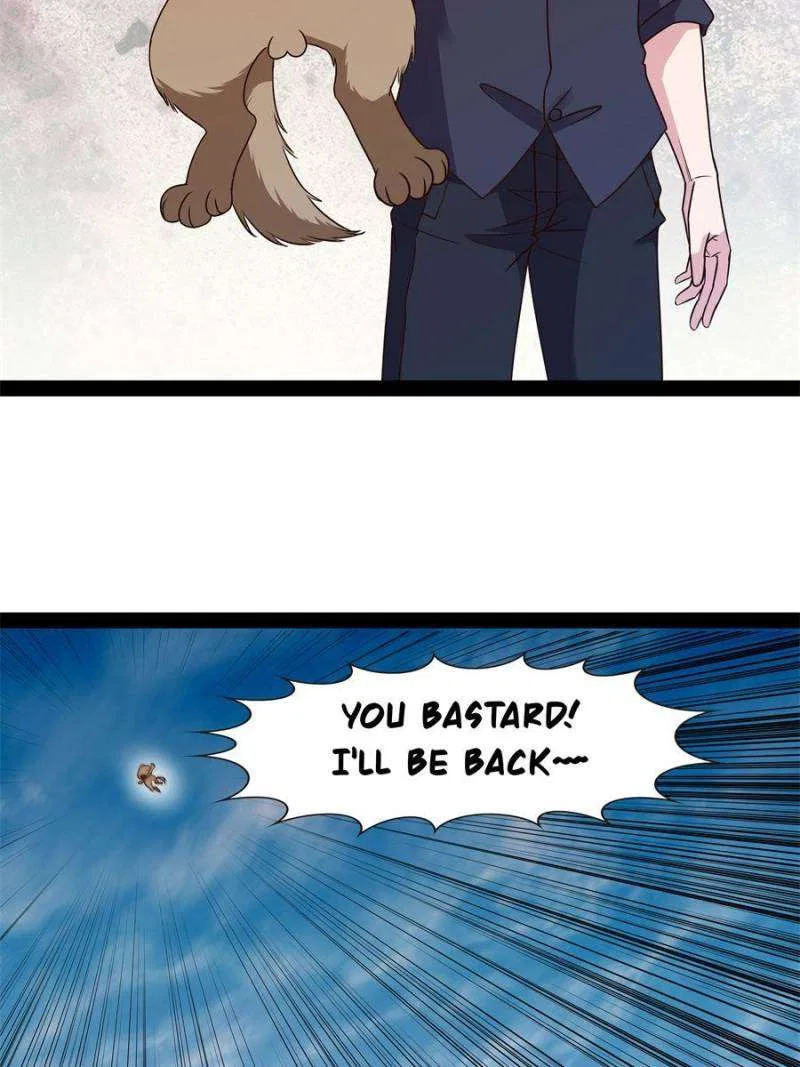 Rebirth: City Deity Chapter 296 – Page 6