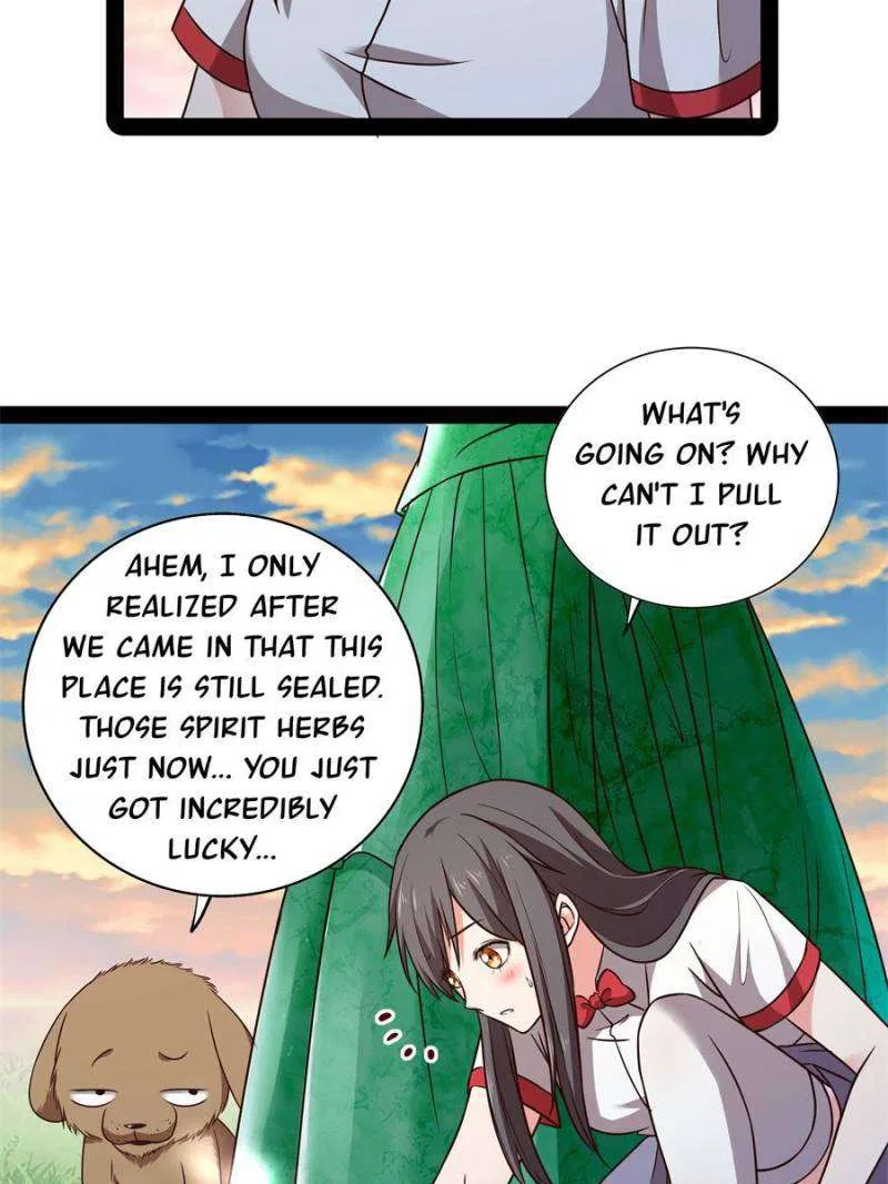 Rebirth: City Deity Chapter 296 – Page 22