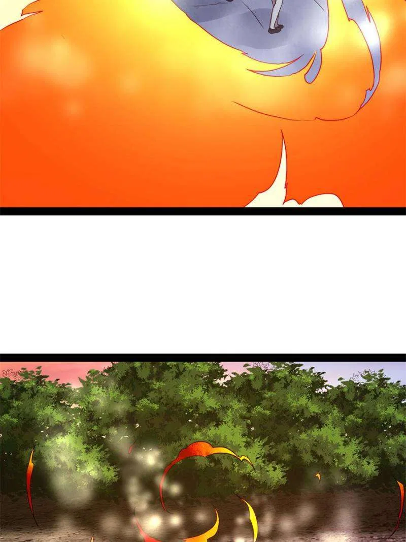 Rebirth: City Deity Chapter 295 – Page 31