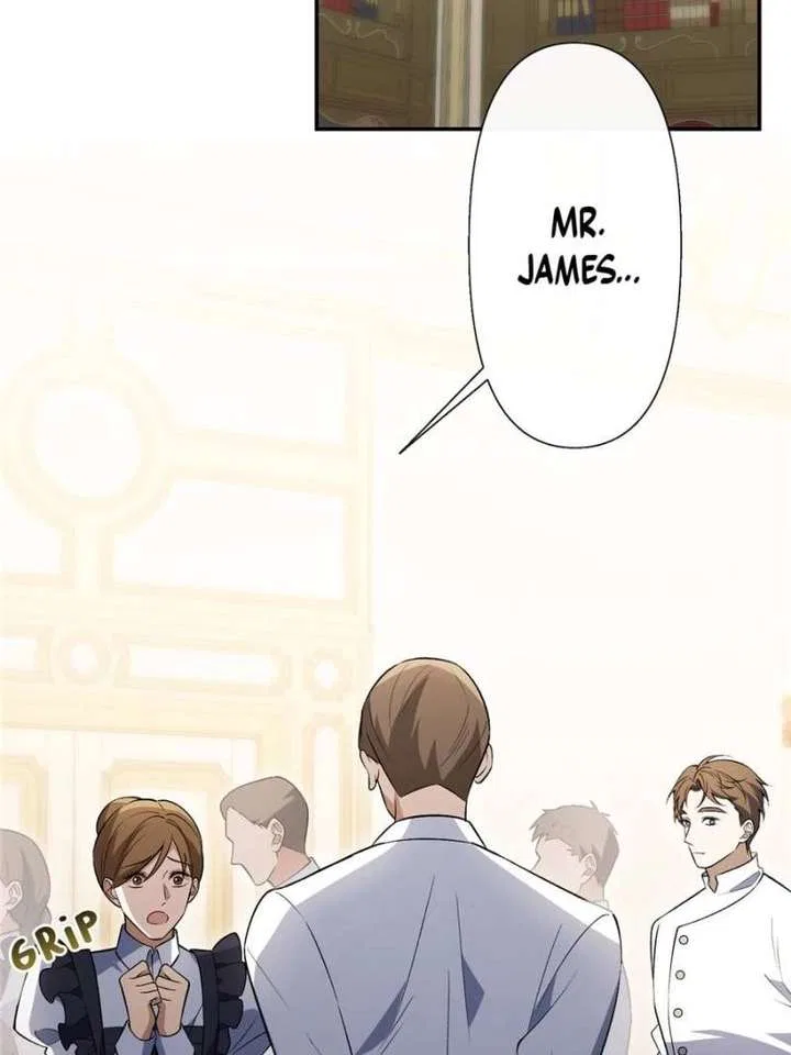 The Duke’s Masked Wife Chapter 39 – Page 33