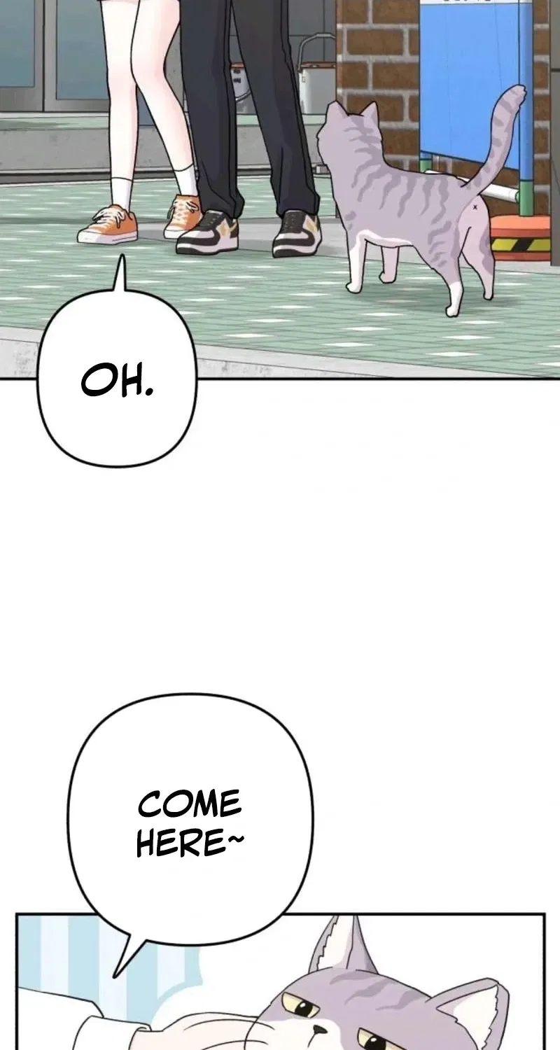 Operation: Heartbeat Chapter 15 – Page 4