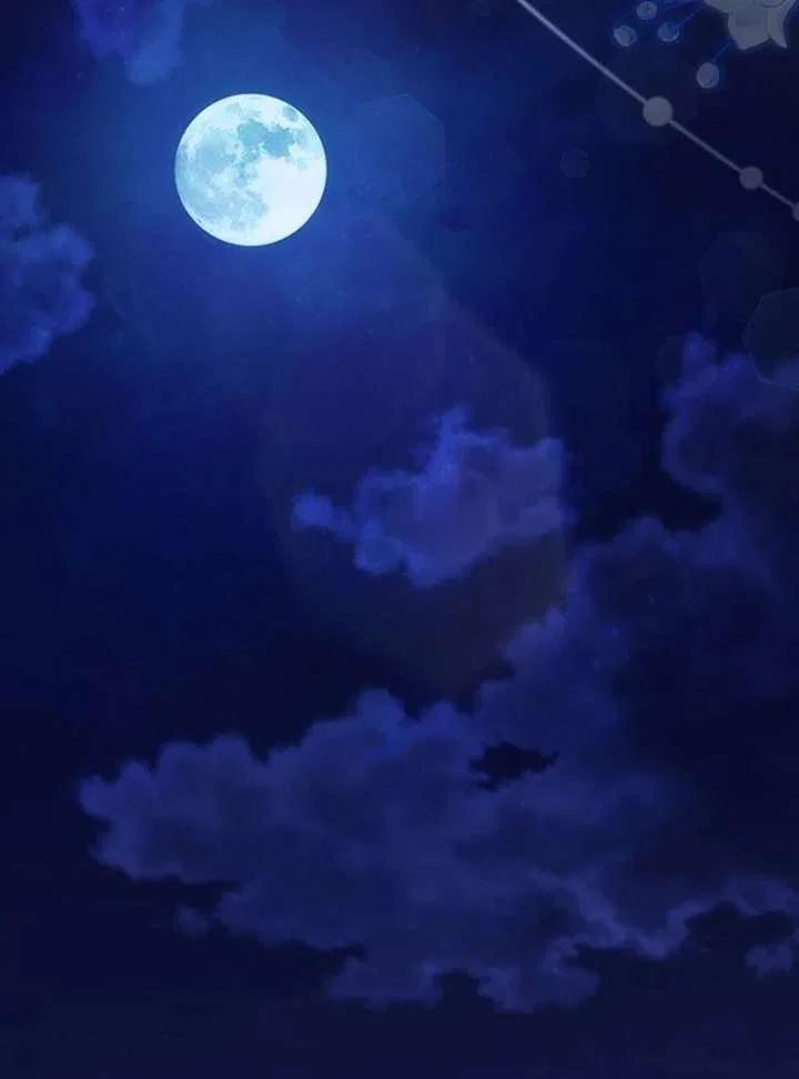 Marry or Die Chapter 28 – Page 94
