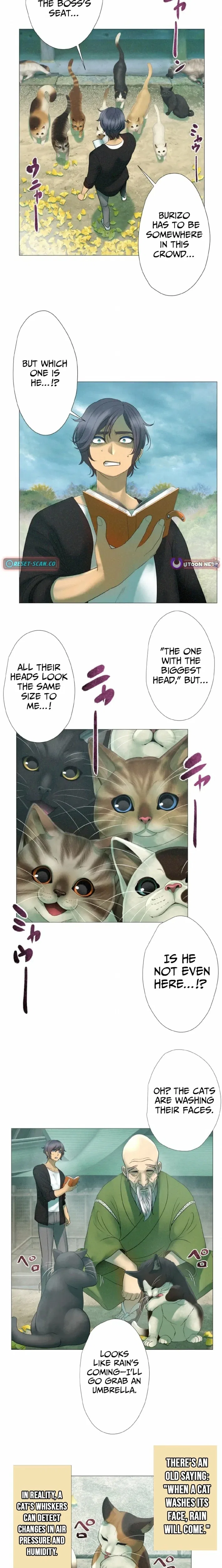 Monster Cat Punch Chapter 16 – Page 11