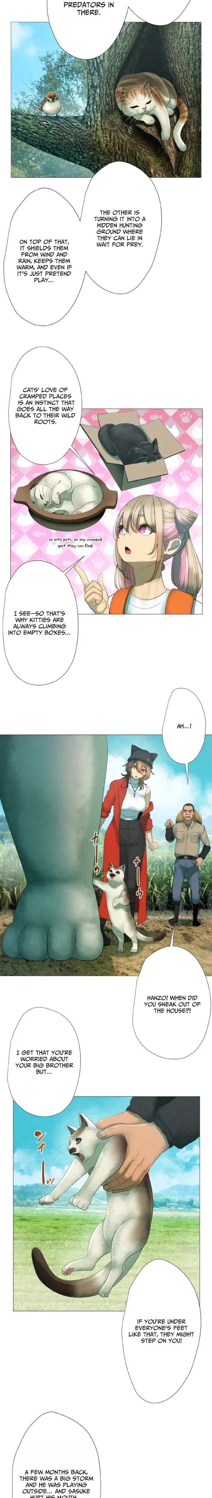 Monster Cat Punch Chapter 11 – Page 12