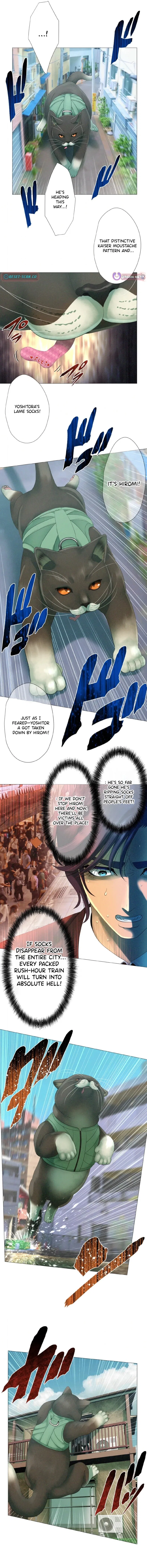 Monster Cat Punch Chapter 7 – Page 4