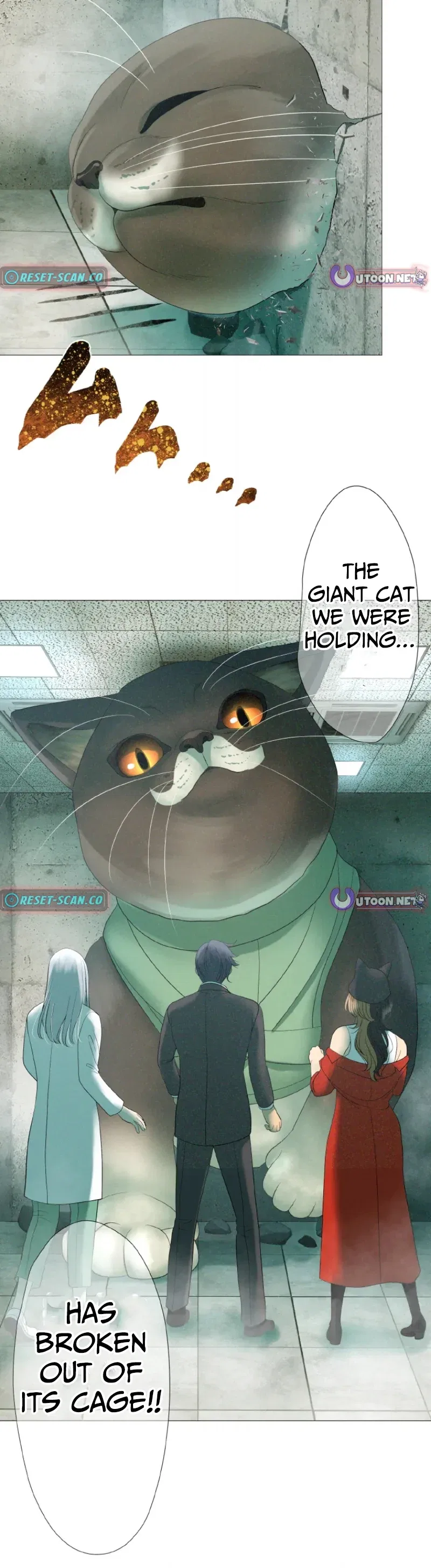 Monster Cat Punch Chapter 5 – Page 22