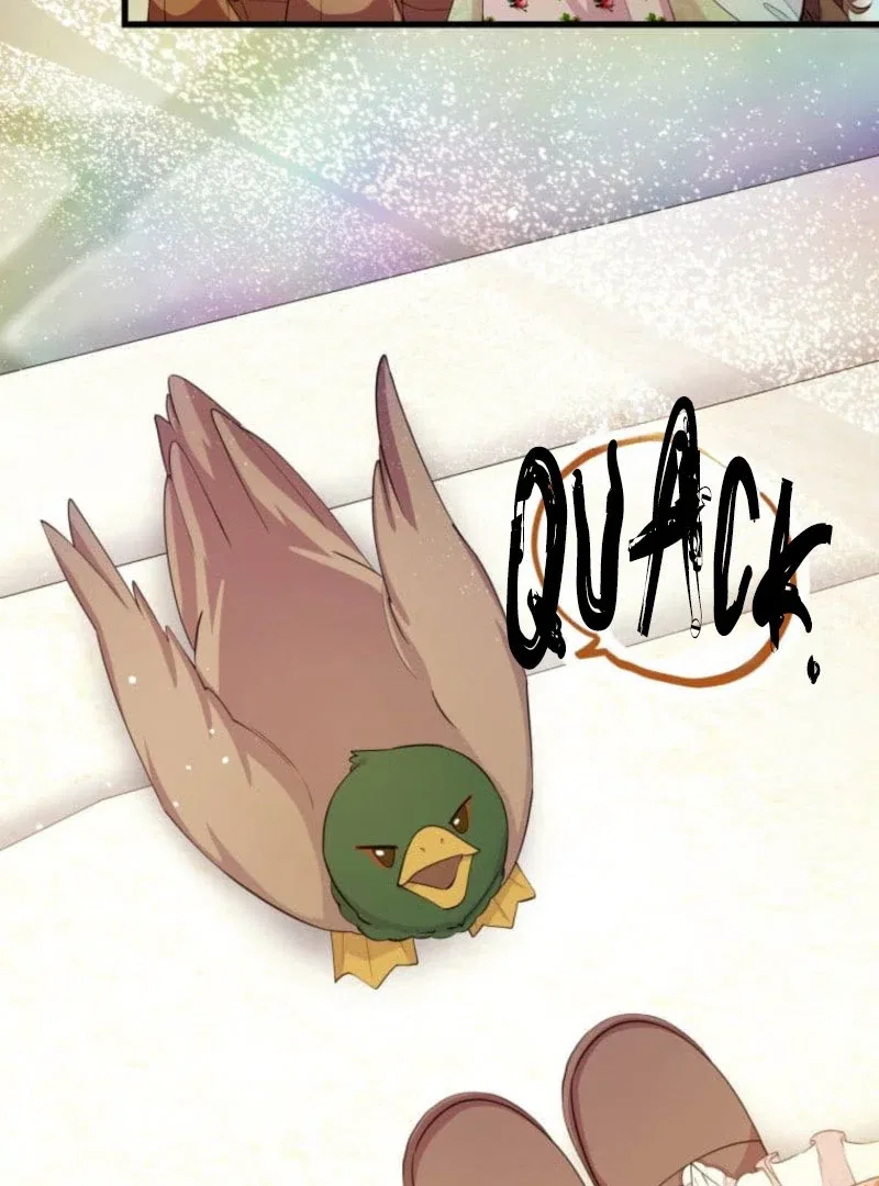 Today I Demand Quality of Death From You With All Due Respect Chapter 17 – Page 39
