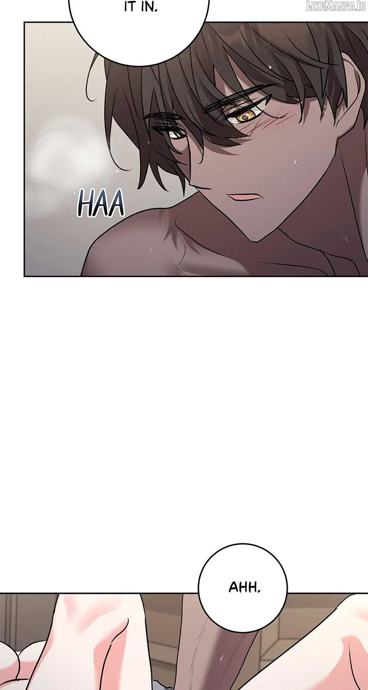 Silent And Wild Winter Cabin Chapter 31 – Page 19