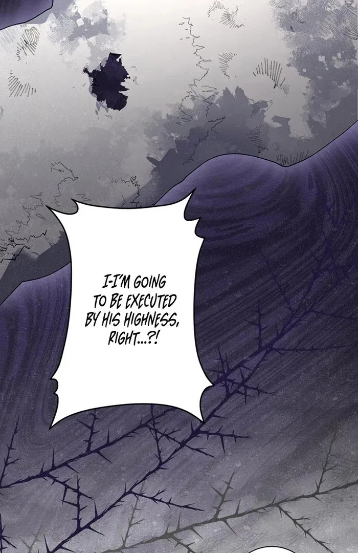 The Obsessed Young Prince Loves the Unlucky Princess Too Much! Chapter 10 – Page 107
