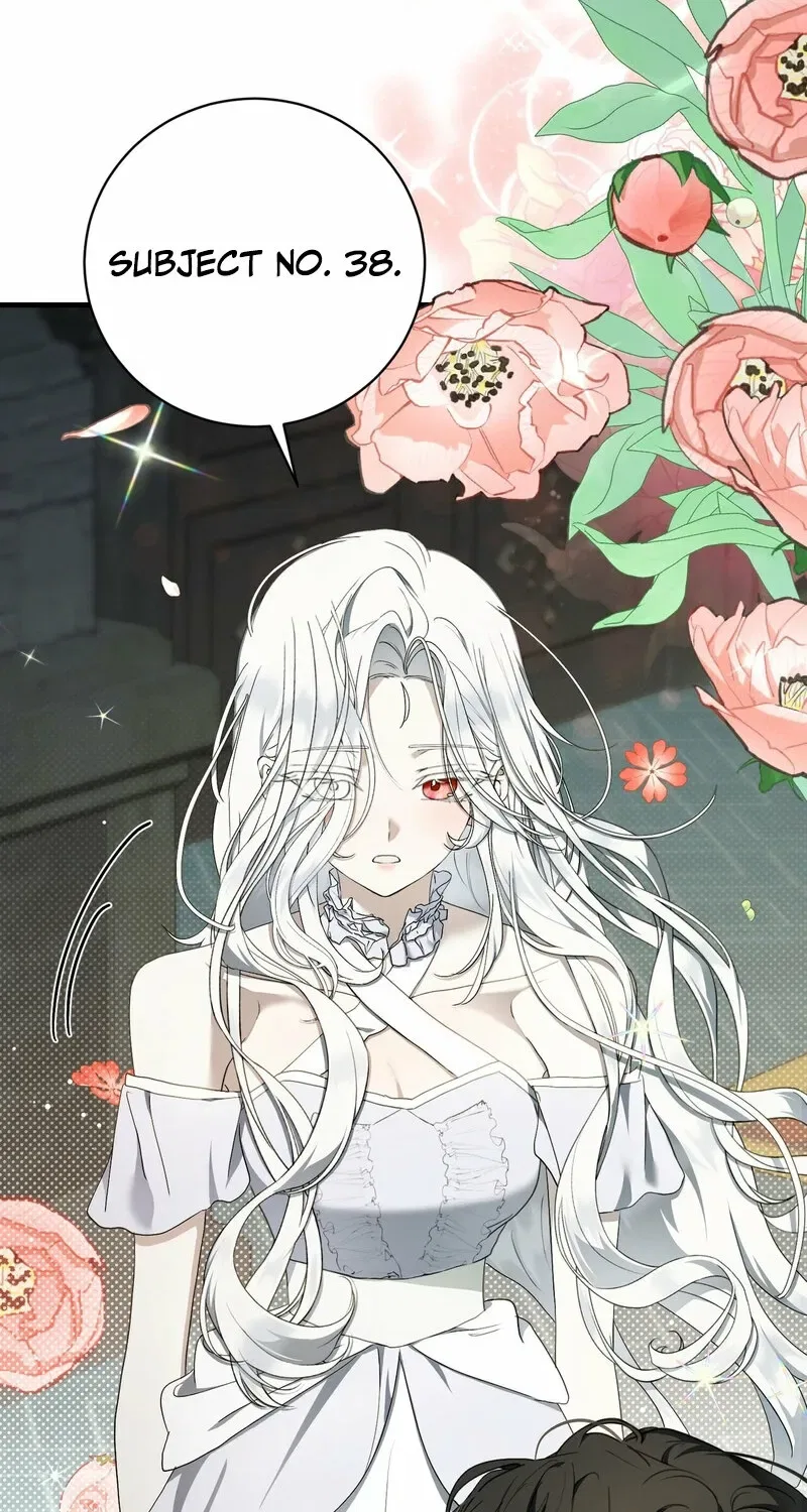 The Demon King Wants to Live in Peace Chapter 16 – Page 12