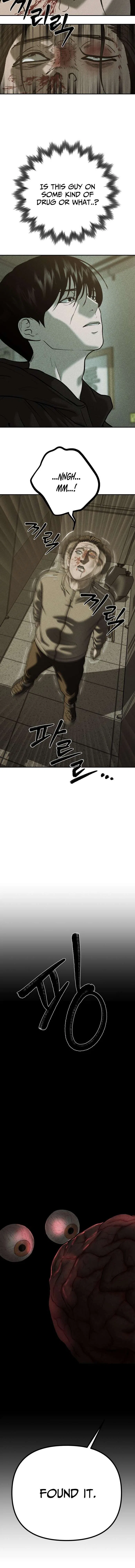 Secret Agent Crocodile Bird Chapter 26 – Page 17