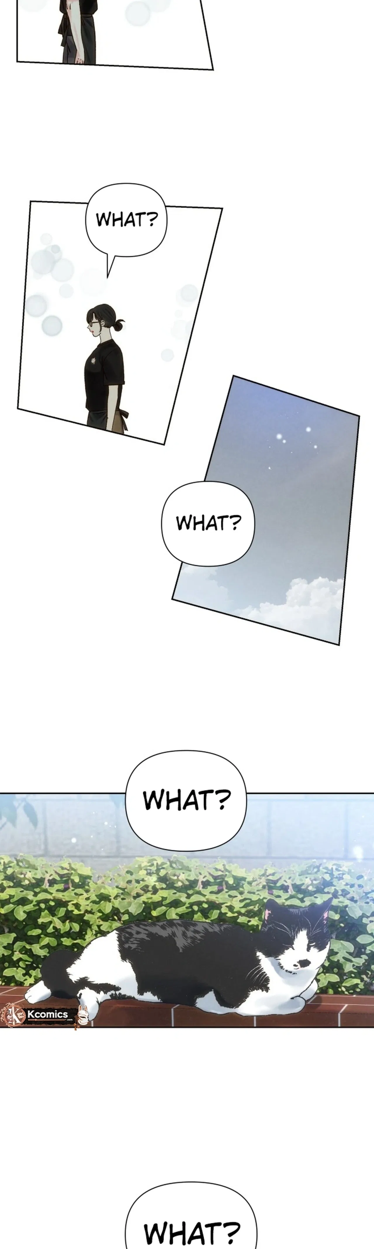 The Foxes Came to Our House Chapter 20 – Page 5