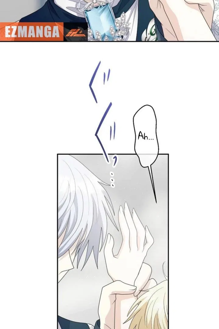 I Tried to be a Villainess, But Now I’m Being Obsessed Over?! Chapter 29 – Page 67