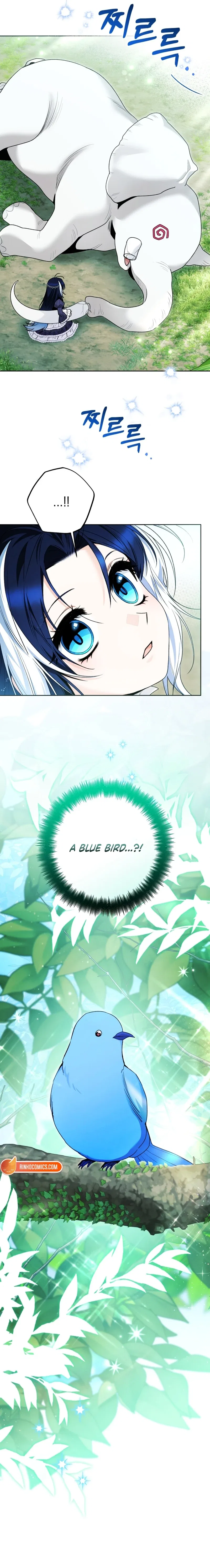 Black Killer Whale Baby Chapter 104 – Page 5