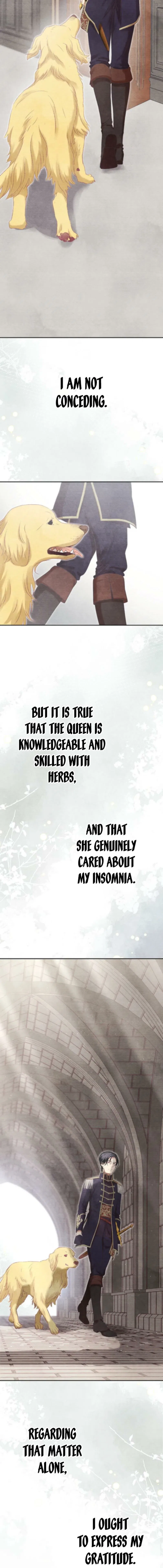 The Fake Queen Learns What Love Is Chapter 13 – Page 17