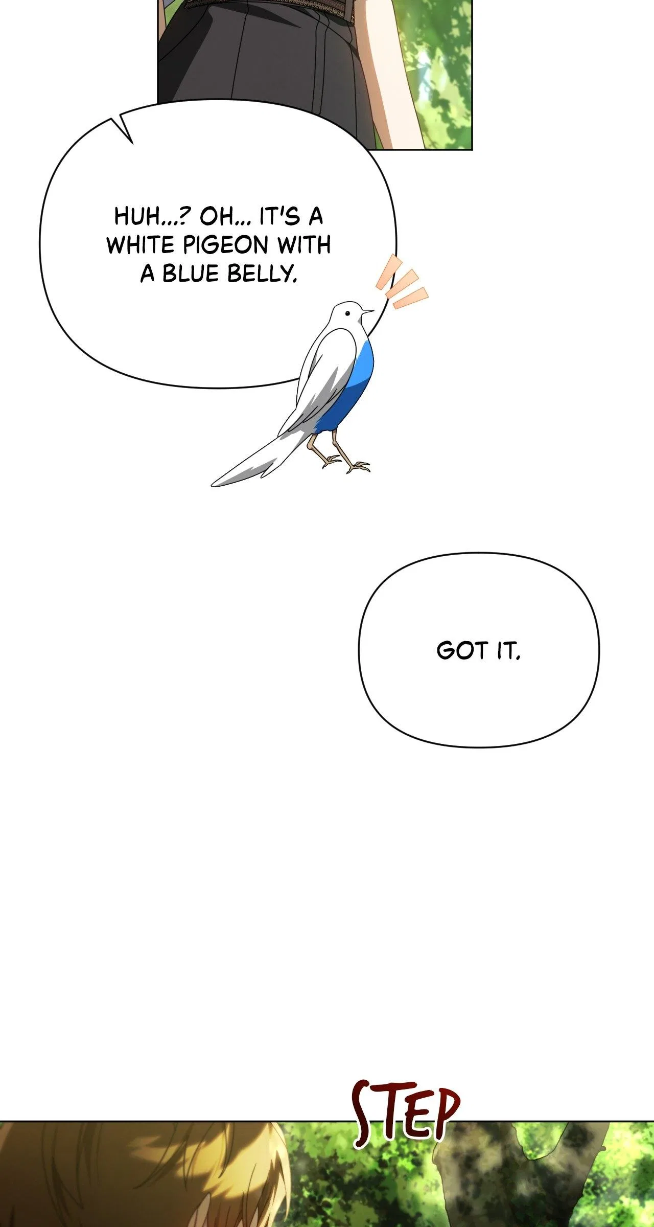 To The Witch Who Forgot The Bird Chapter 34 – Page 71