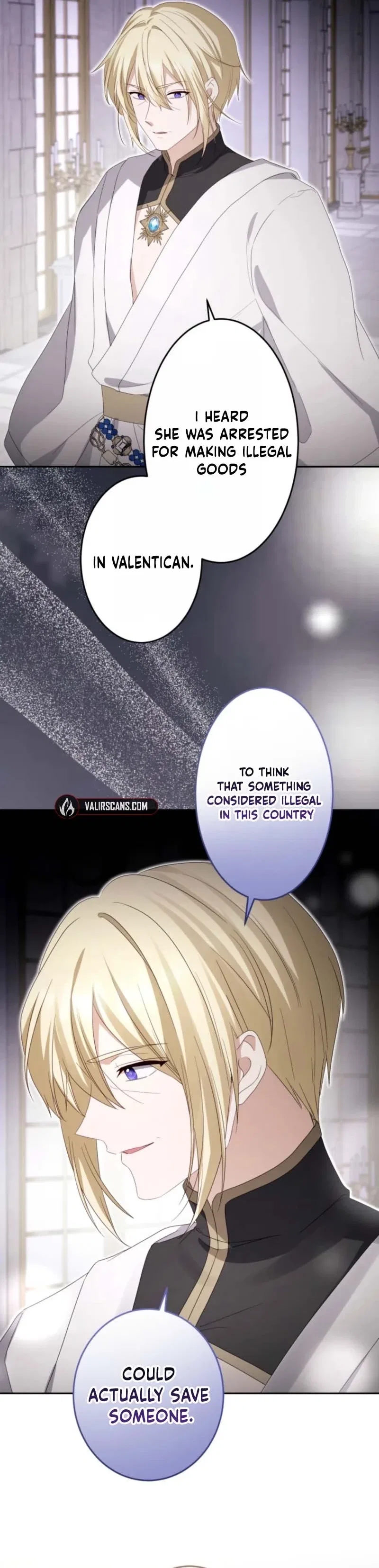 Your Highness, Won’t You Try This Tonight? Chapter 27 – Page 25