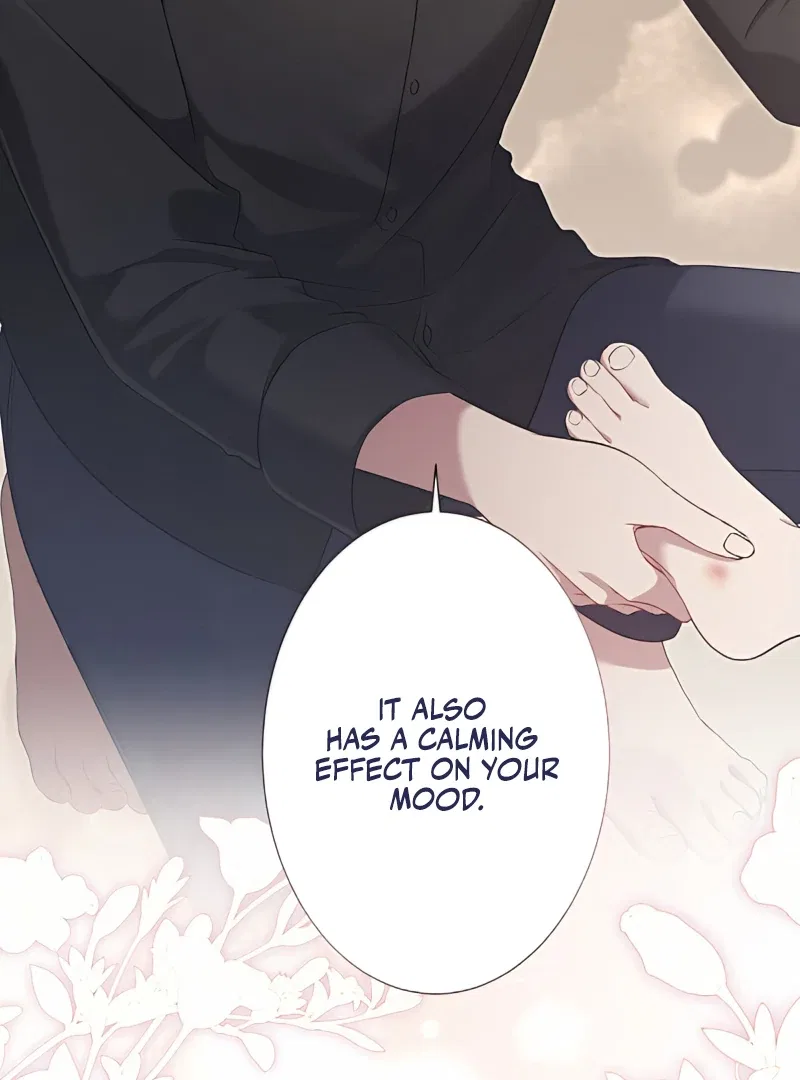 The Hidden Prince Who Loved Me Chapter 4 – Page 28