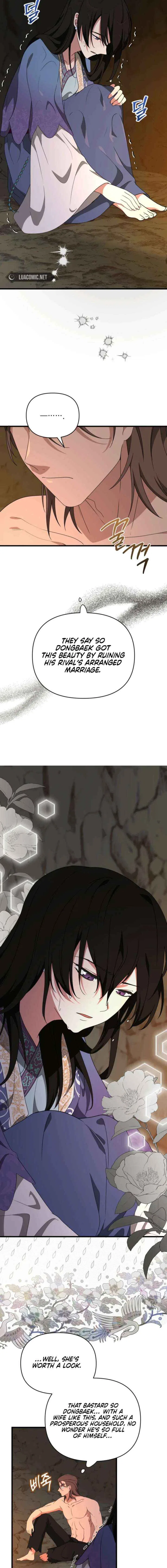 Camellia: Mastering The Three Kingdoms As Alice Chapter 56 – Page 2