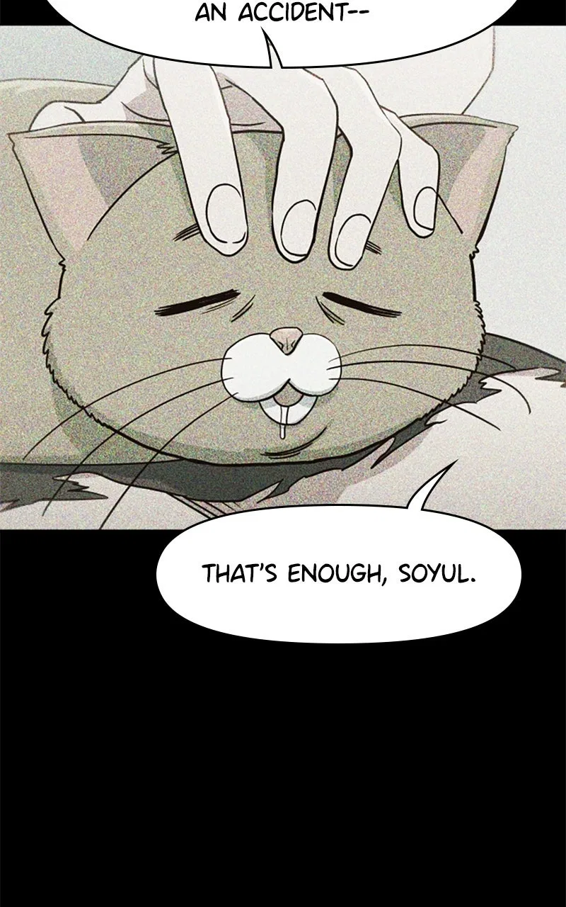 I’m the Only One Bullied by the New High School Student Chapter 81 – Page 12