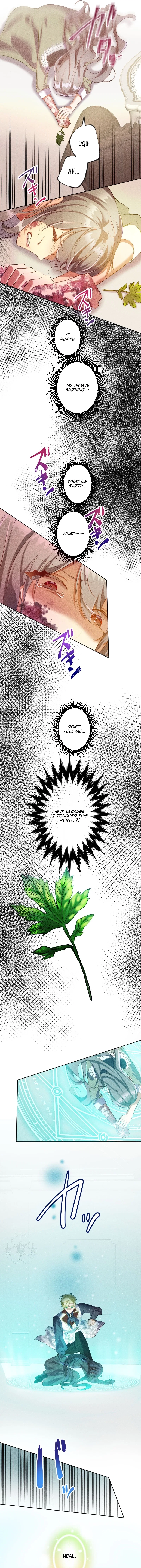 The Untalented Lady and the Marquis’s Infinite Devotion Chapter 11 – Page 7