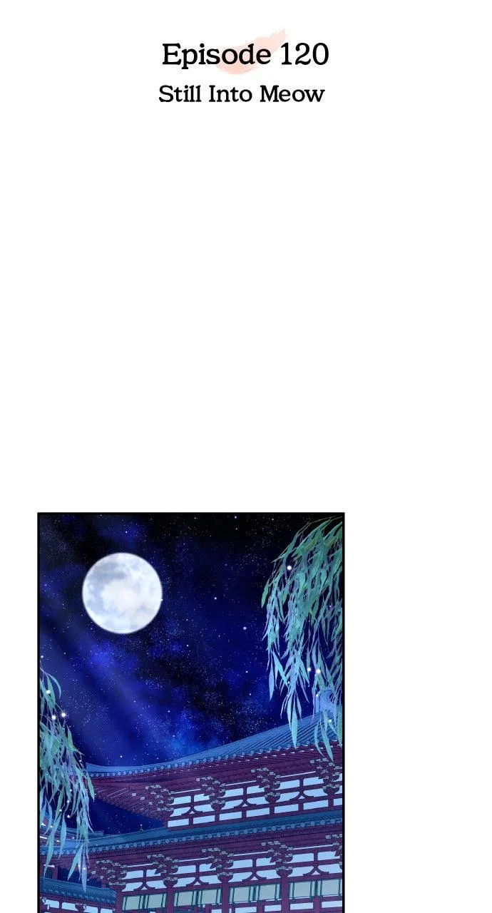 A Martial Master Wakes Upas a Concubine Chapter 120 – Page 15
