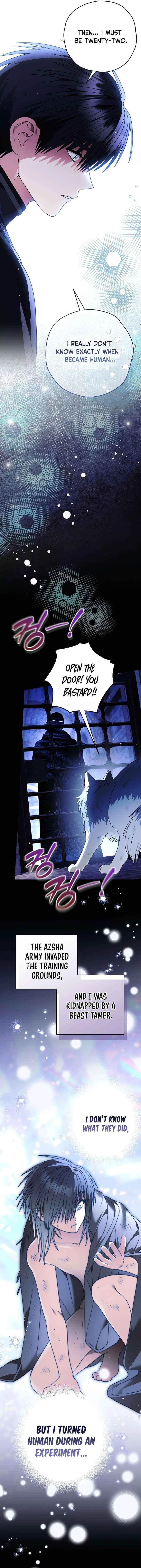 To My Dear Wolf Chapter 35 – Page 13