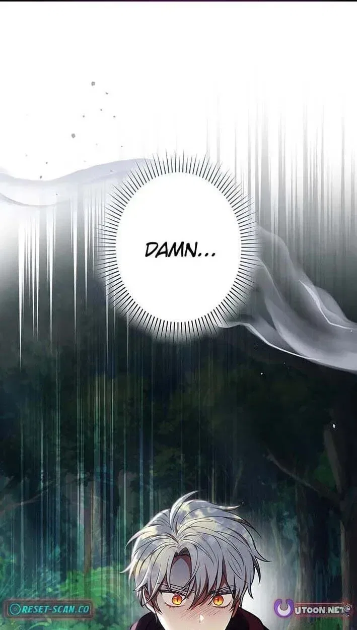 I Was Supposed to Be a Stalker Lady, but Somehow I’m Being Adored Instead Chapter 42 – Page 2