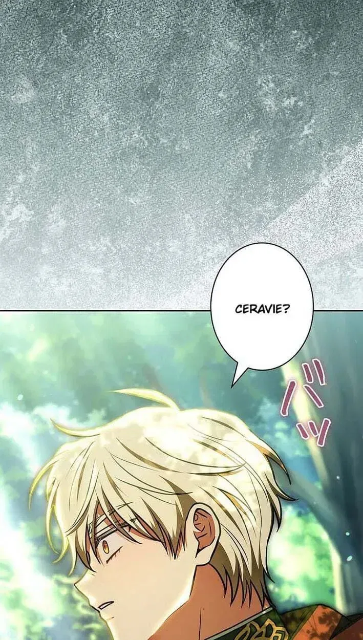I Was Supposed to Be a Stalker Lady, but Somehow I’m Being Adored Instead Chapter 42 – Page 5