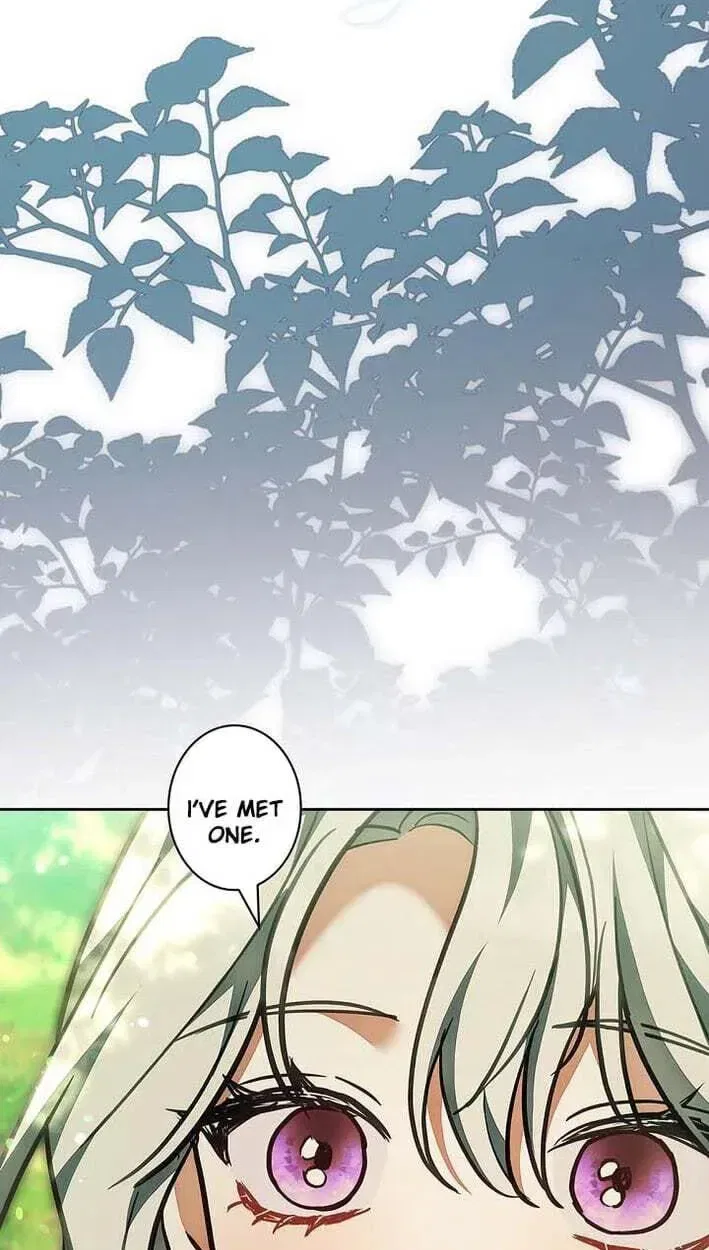 I Was Supposed to Be a Stalker Lady, but Somehow I’m Being Adored Instead Chapter 42 – Page 37