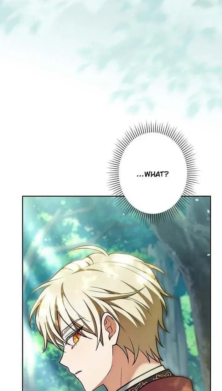 I Was Supposed to Be a Stalker Lady, but Somehow I’m Being Adored Instead Chapter 42 – Page 44