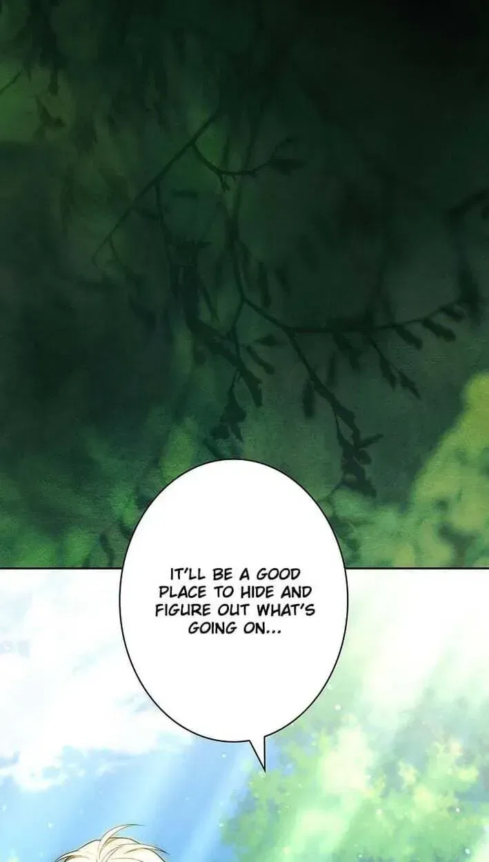 I Was Supposed to Be a Stalker Lady, but Somehow I’m Being Adored Instead Chapter 42 – Page 53