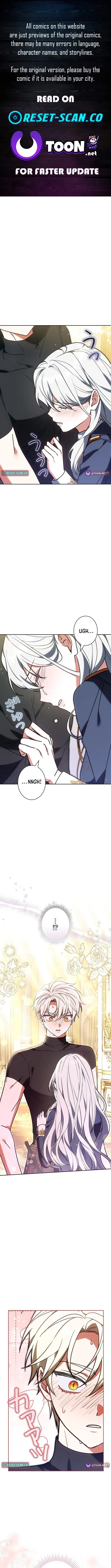 I Was Supposed to Be a Stalker Lady, but Somehow I’m Being Adored Instead Chapter 37 – Page 1