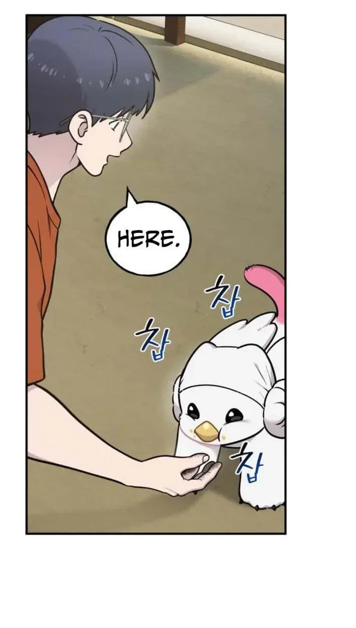 Hello, Griffin the Fluffy Bird! Chapter 51 – Page 28