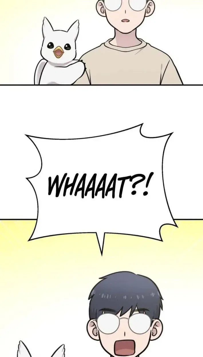 Hello, Griffin the Fluffy Bird! Chapter 51 – Page 88