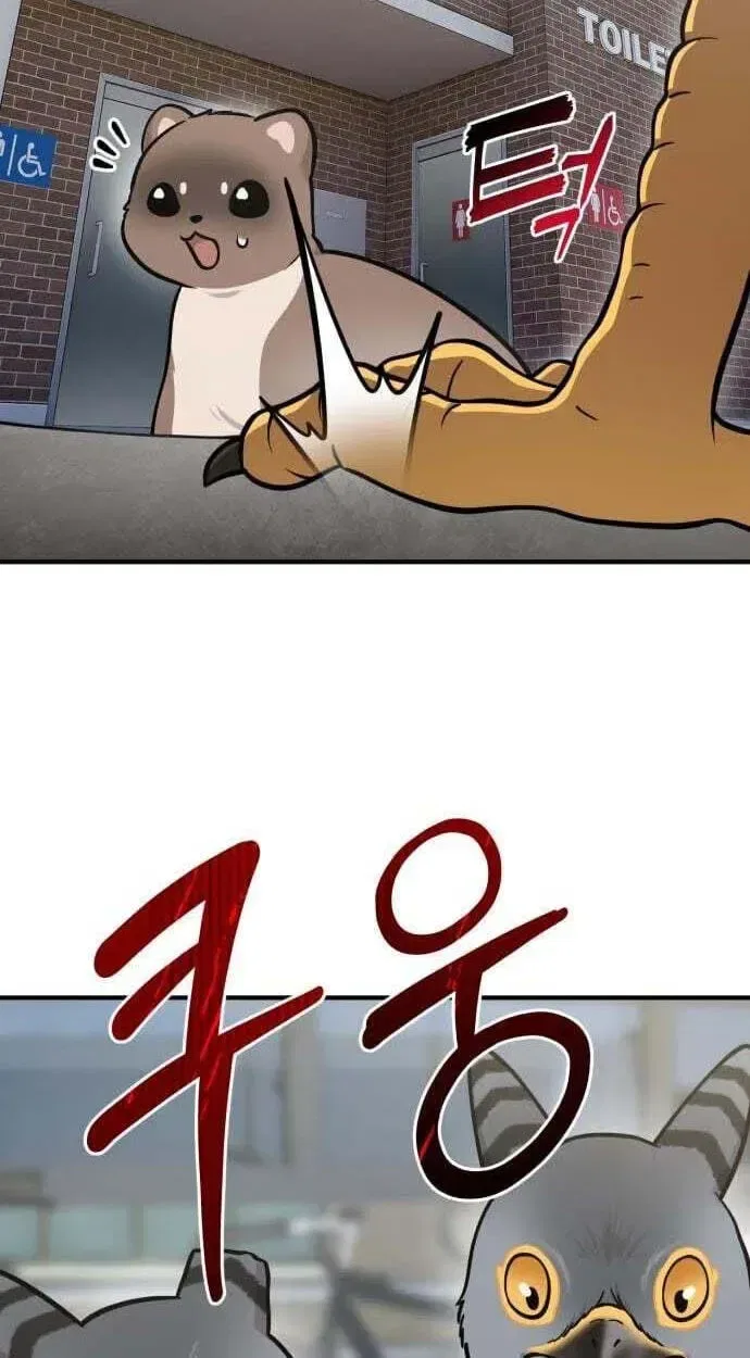 Hello, Griffin the Fluffy Bird! Chapter 50 – Page 88