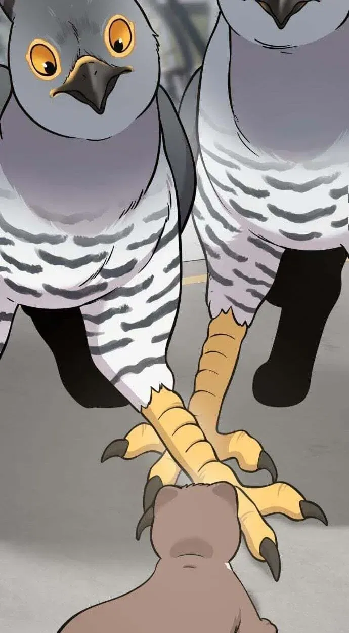Hello, Griffin the Fluffy Bird! Chapter 50 – Page 89