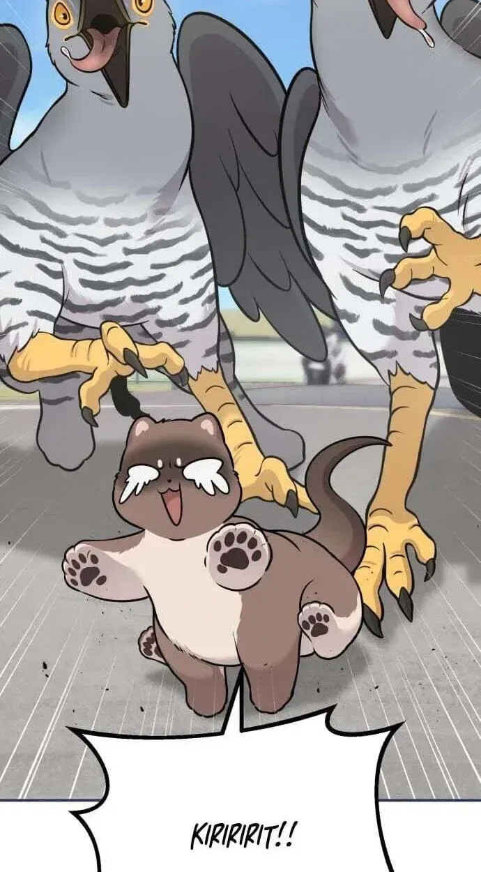 Hello, Griffin the Fluffy Bird! Chapter 50 – Page 92