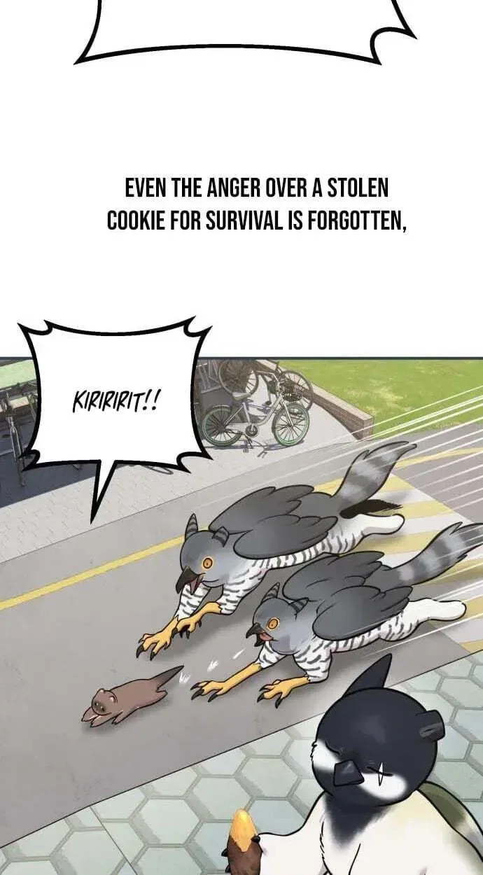 Hello, Griffin the Fluffy Bird! Chapter 50 – Page 93