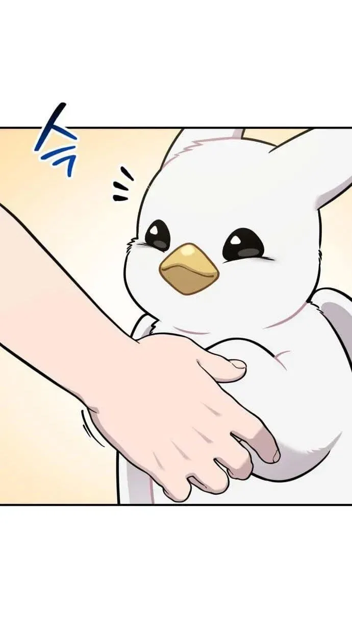 Hello, Griffin the Fluffy Bird! Chapter 49 – Page 49